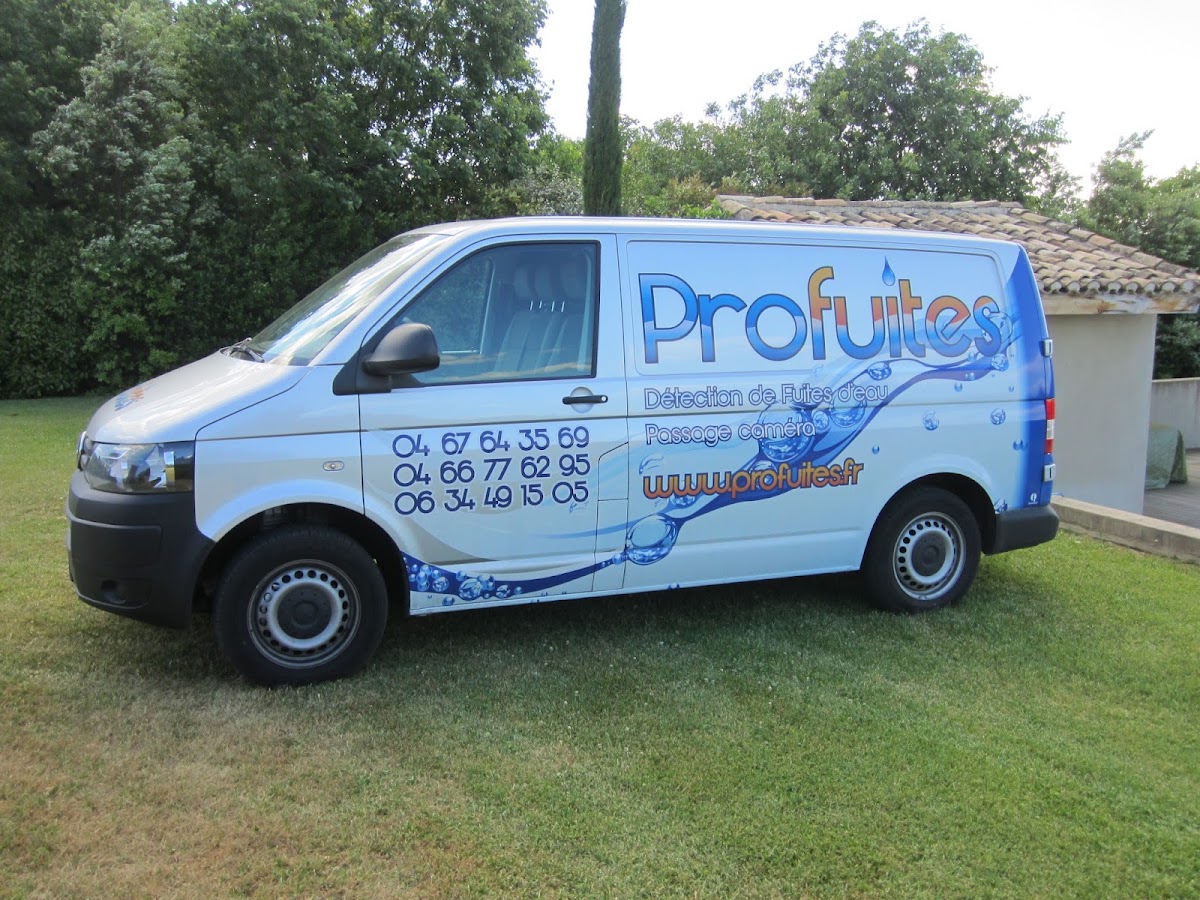 Profuites
