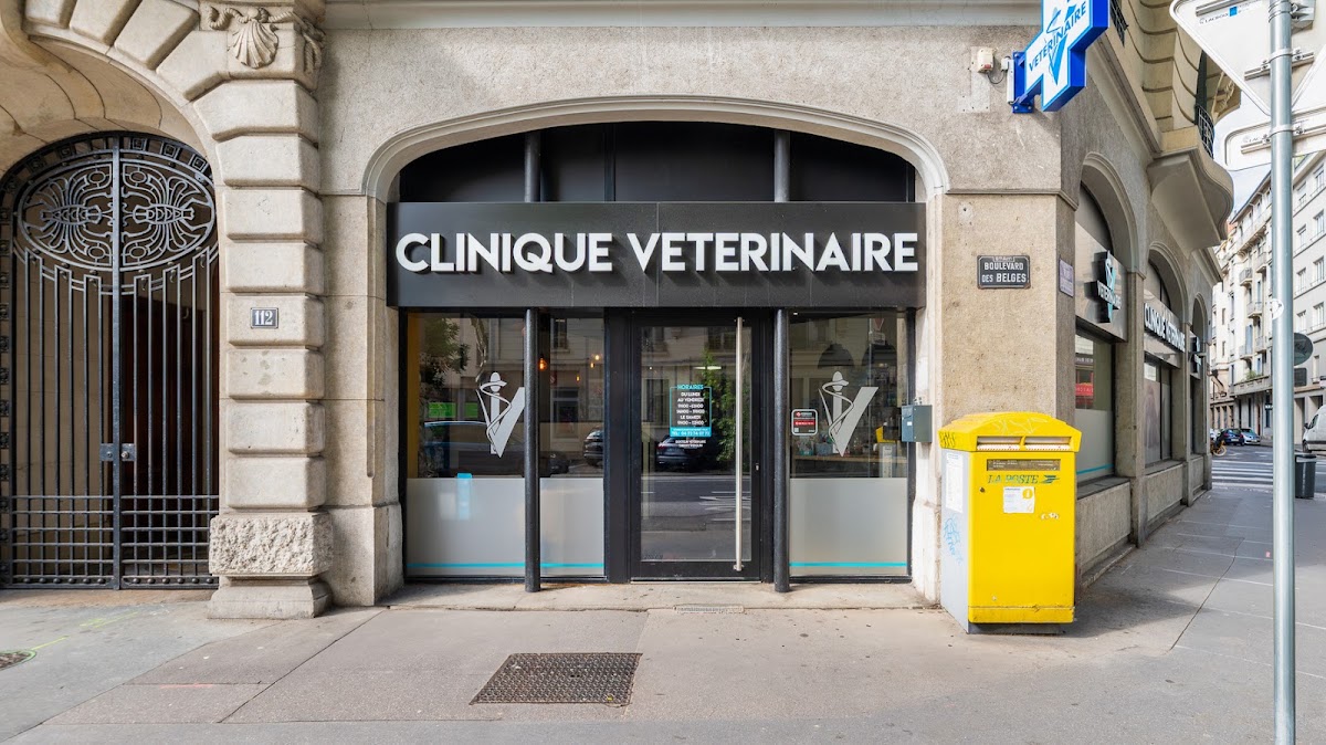 Mon Véto Lyon Brotteaux