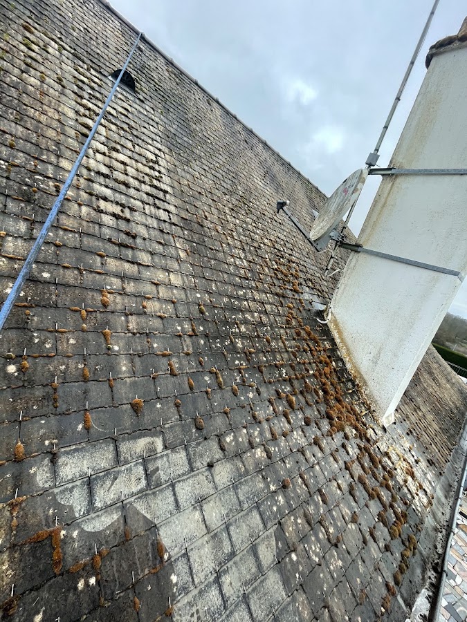 Ramonage Cheminée - Rénover ma maison - Carreleur Peintre