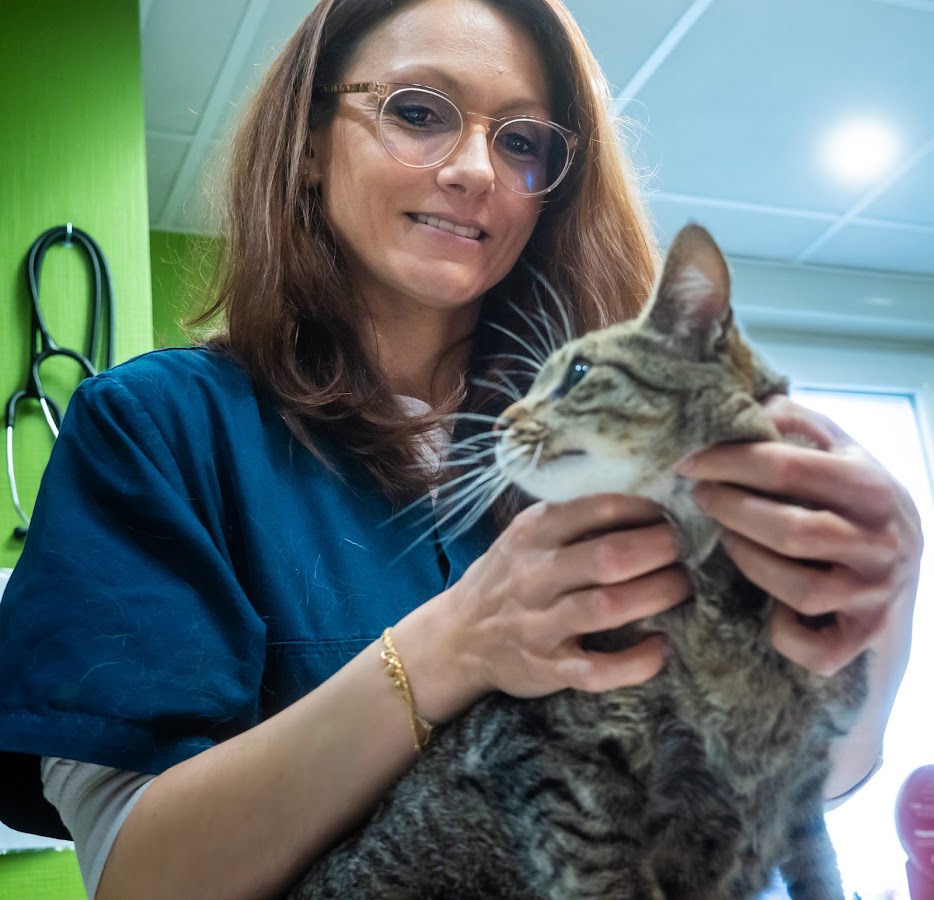 Clinique Vétérinaire Lécuyer Anne