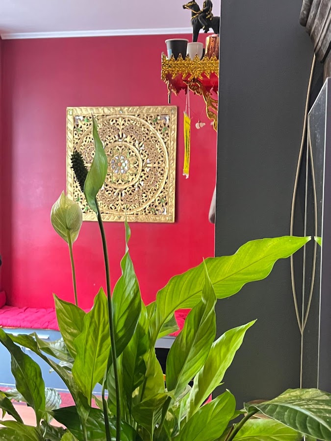 Chi-va Thaï - Boulogne-Billancourt