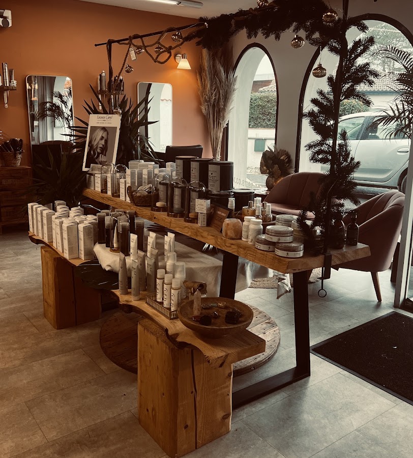 Salon Hollistik