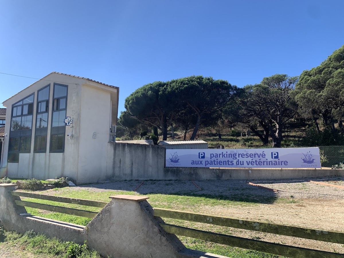 Vétérinaire de Villepey Saint Aygulf