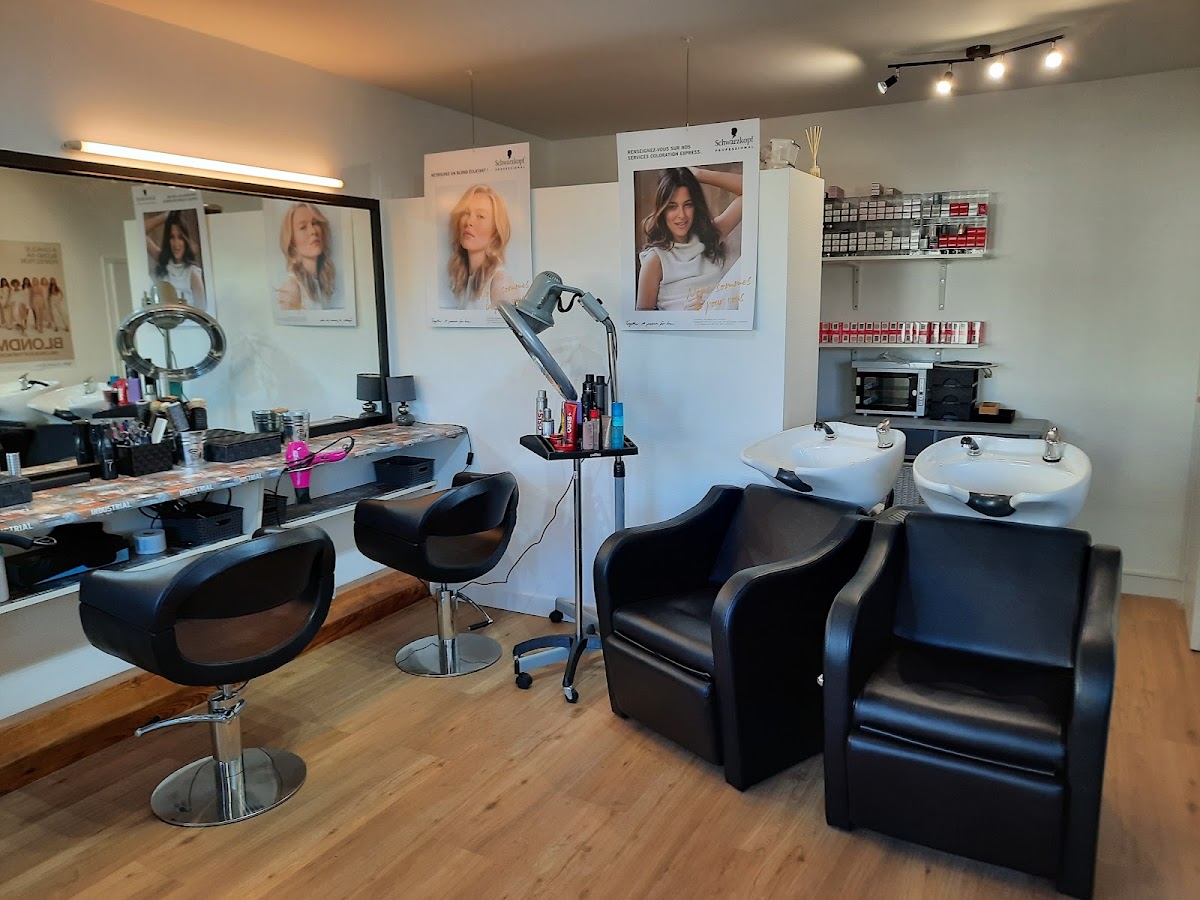 Le Salon Plume Bleutée