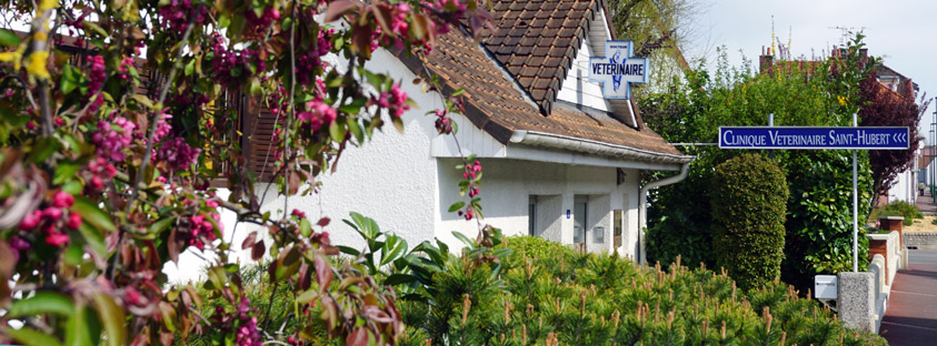 Clinique Saint Hubert