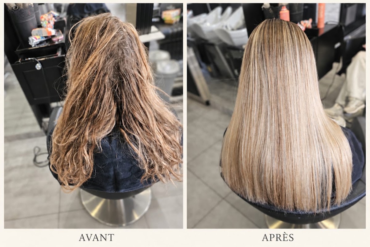 Steves Coiffure