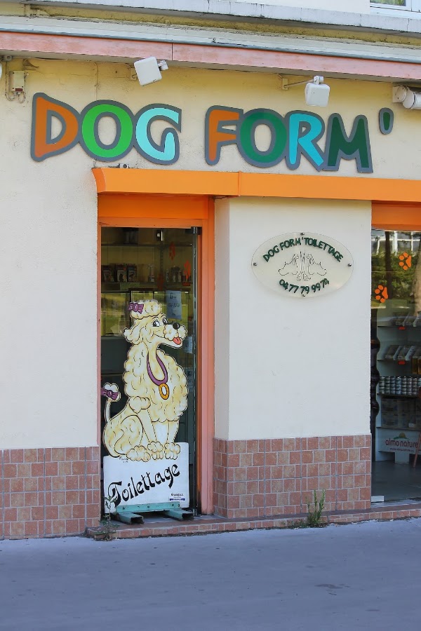 DOG FORM