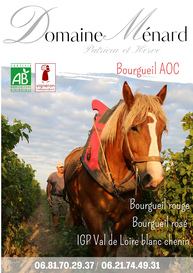 Domaine Ménard | Vin bio de Bourgueil.
