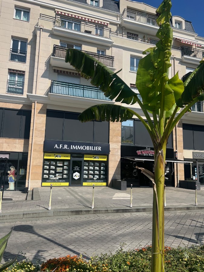 AFR IMMOBILIER L'Agence à Frais Réduits