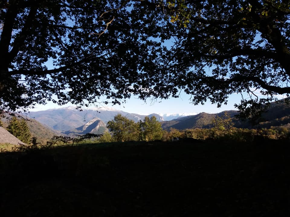 Ariège Poly Services