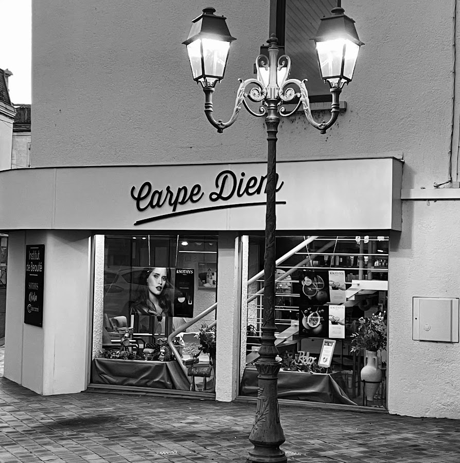 Carpe Diem Institut
