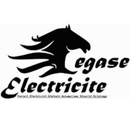 PEGASE ELECTRICITE