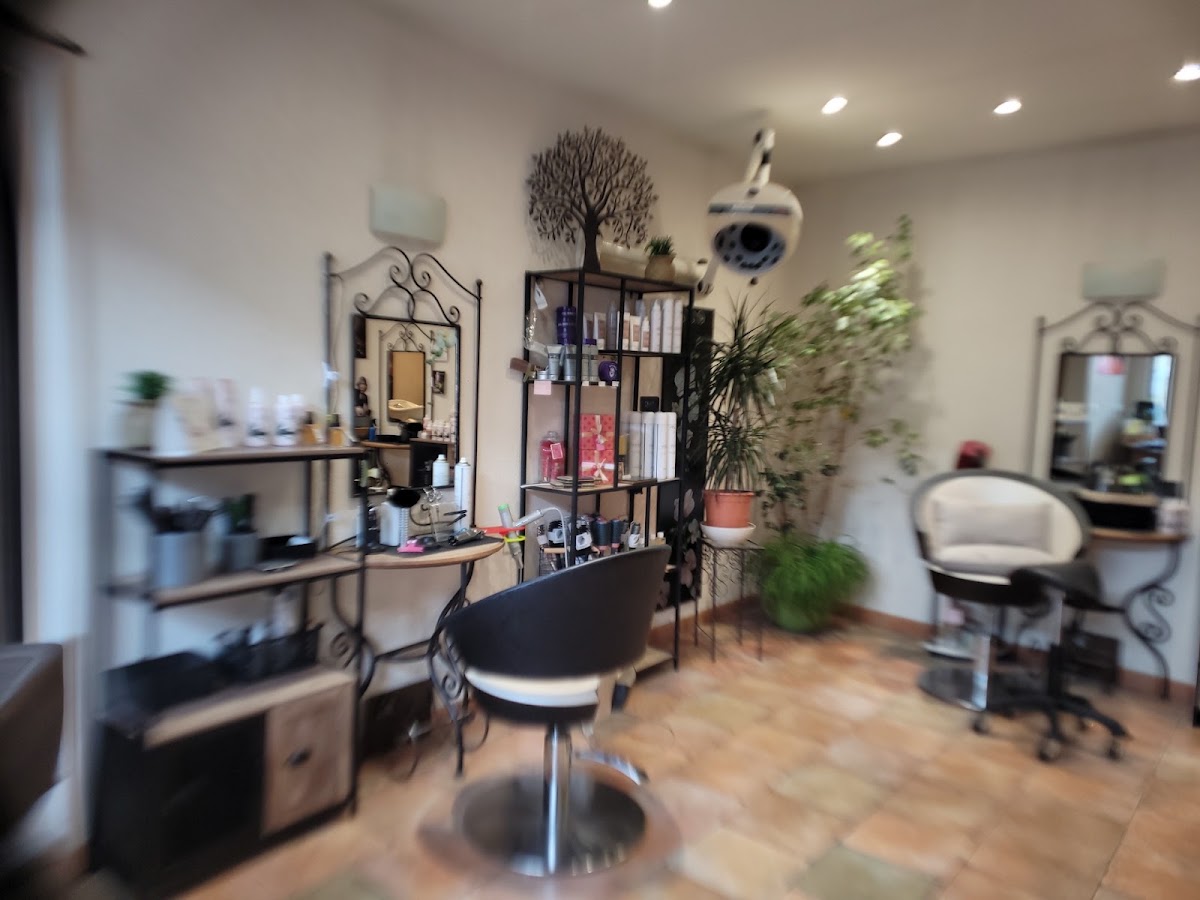 Coiffure Angelica