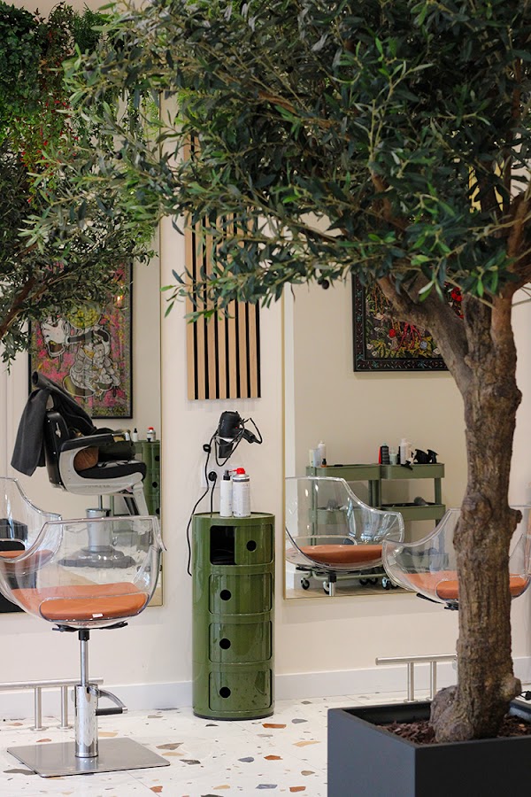 Bøtanik Coiffeur Langlet