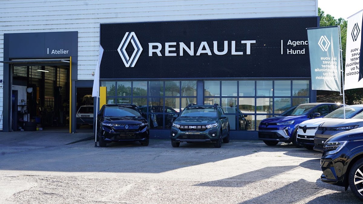 RENAULT / DACIA GARAGE HUND