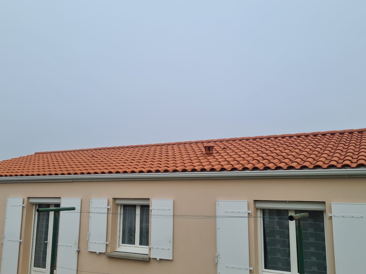 TTS SERVICES 85 - Nettoyage Toiture Façades, Traitement Anti Mousse, Hydrofuge