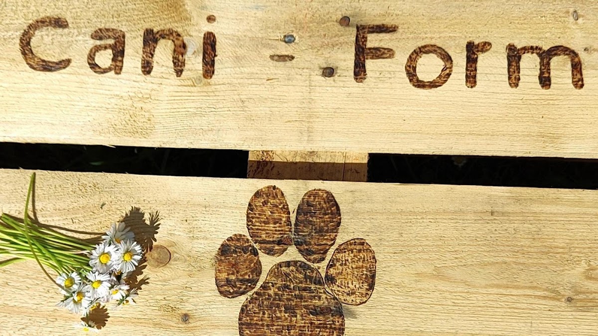 CANI-FORM