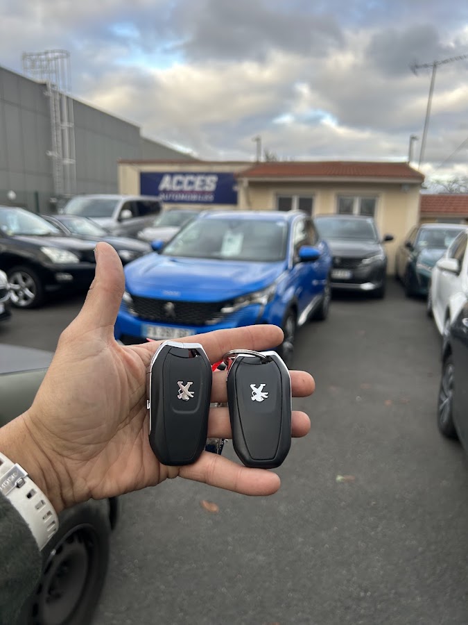 Chrono services auto