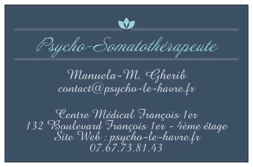 Psy le havre