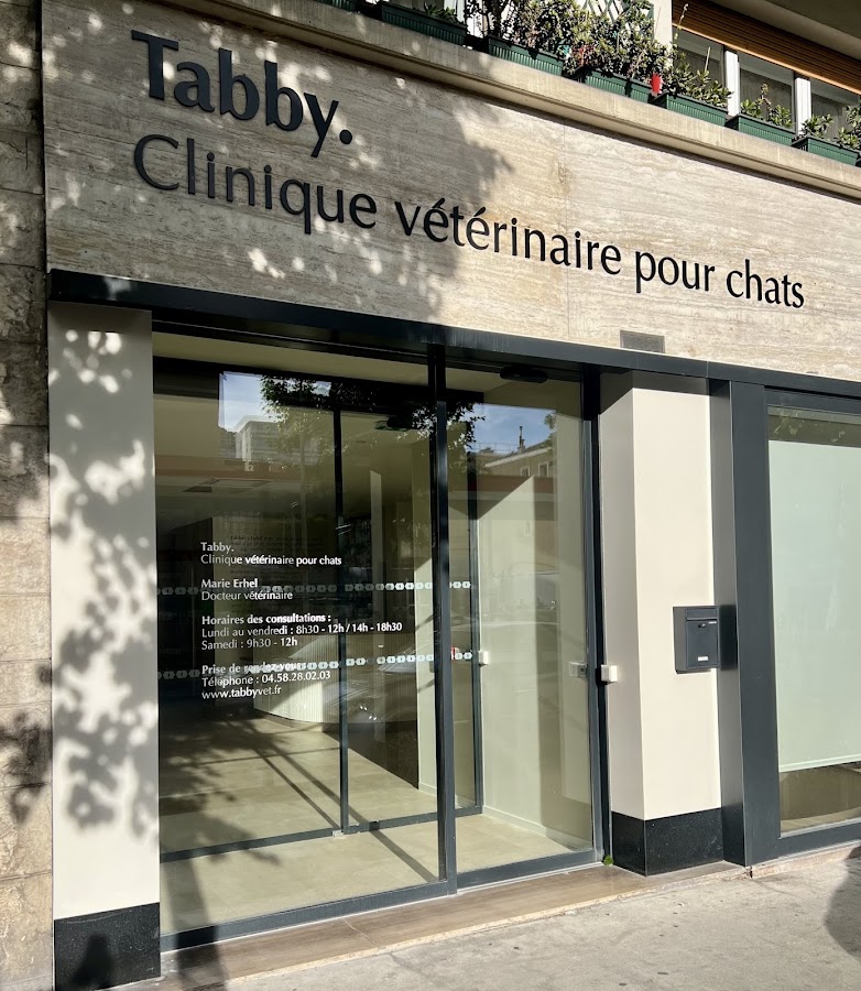 Clinique vétérinaire pour chats Tabby.