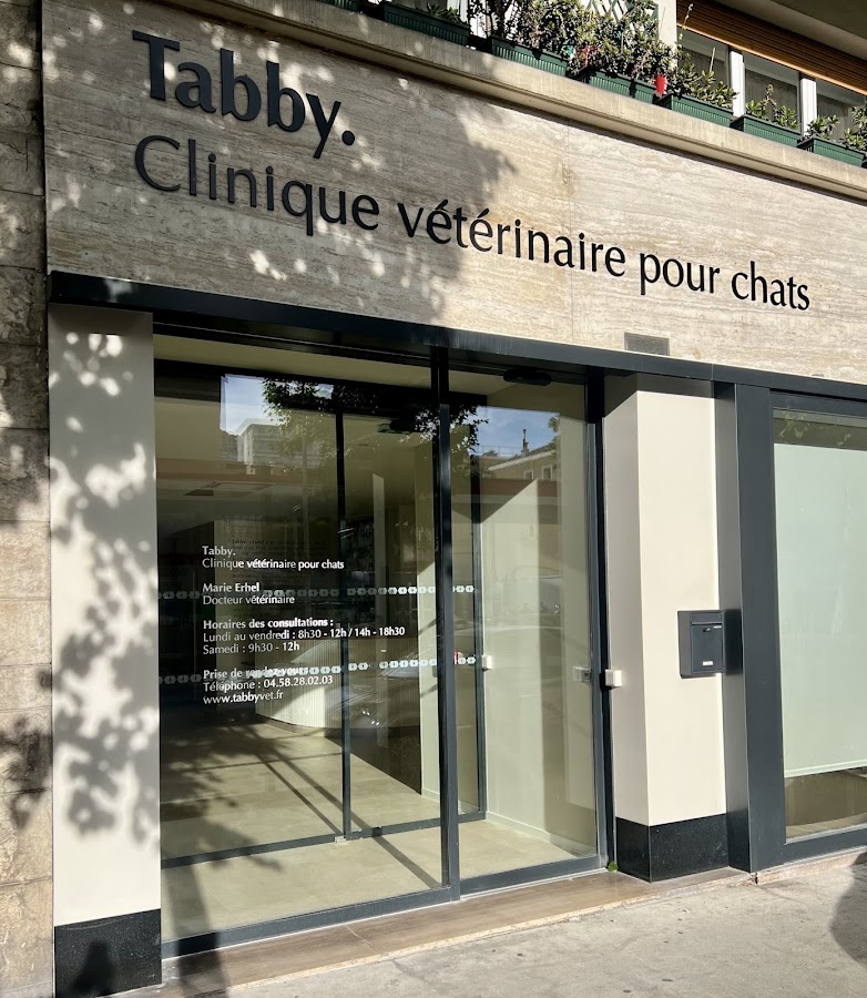 Clinique vétérinaire pour chats Tabby.
