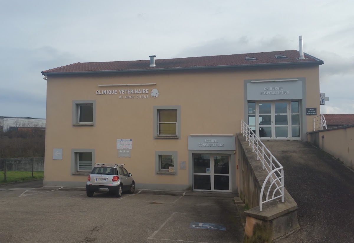 Clinique Vétérinaire du Gros Chêne |