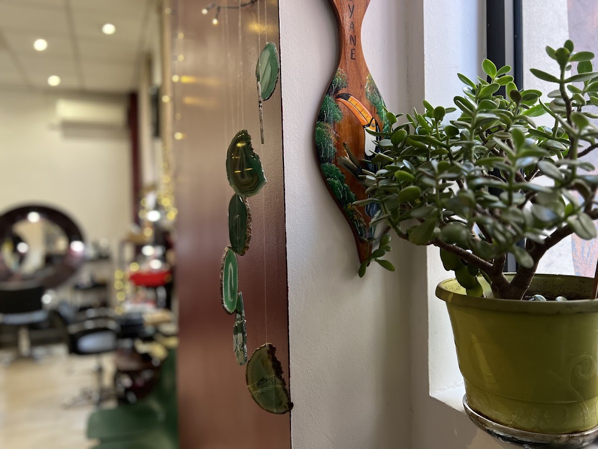 Salon Inexis Studio