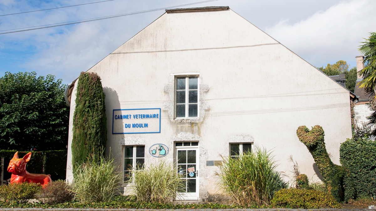 Cabinet vétérinaire du Moulin - Saint-Ay - Sevetys