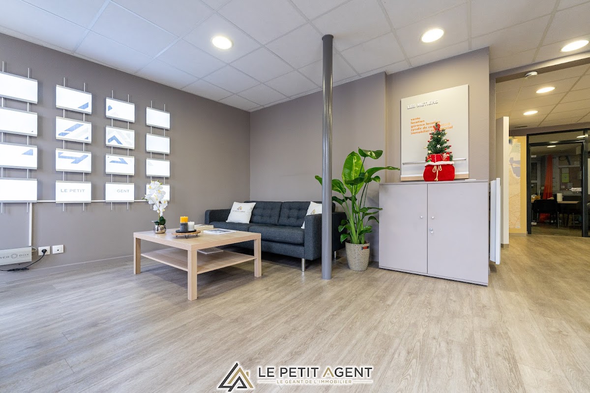LE PETIT AGENT