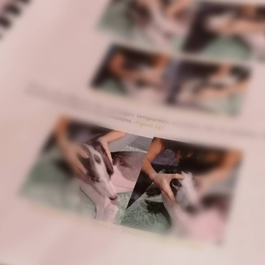 Lady vegane Dog