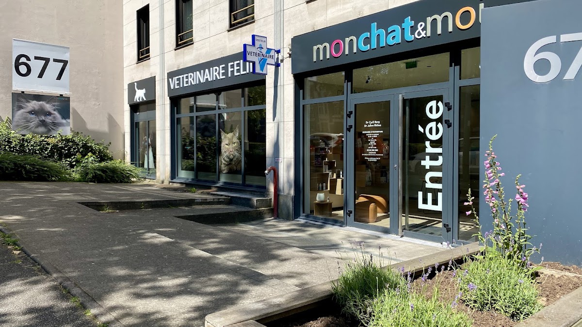 Mon Chat et Moi, vétérinaires à Lille