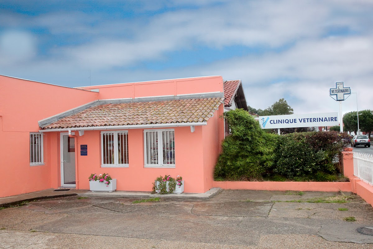 Clinique Vétérinaire du Port