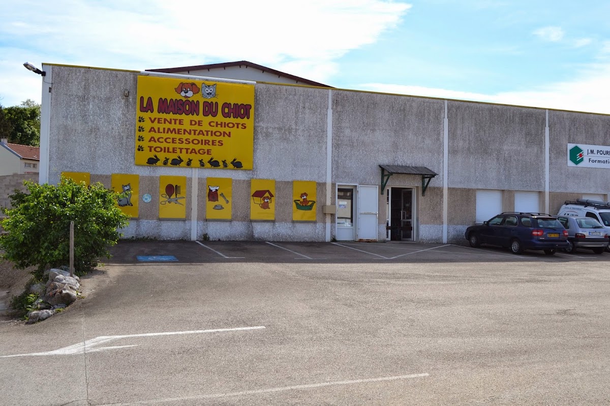 La maison du chiot