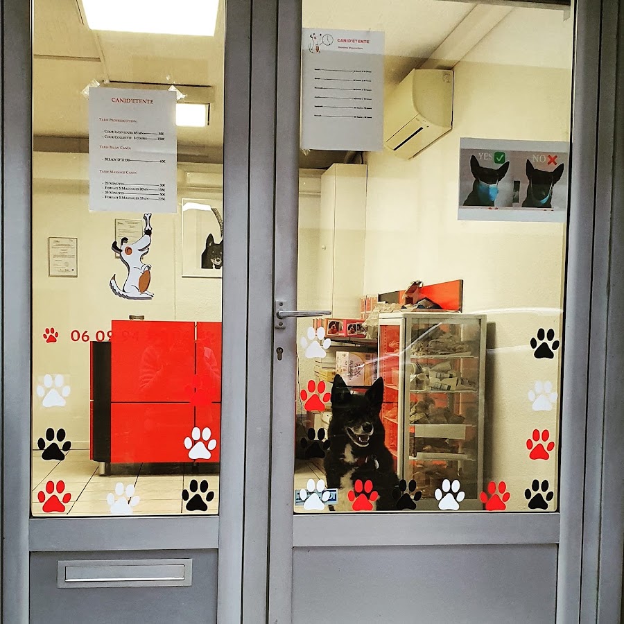 Canid'élire - Boutique & Educateur Comportementaliste Canin Marseille