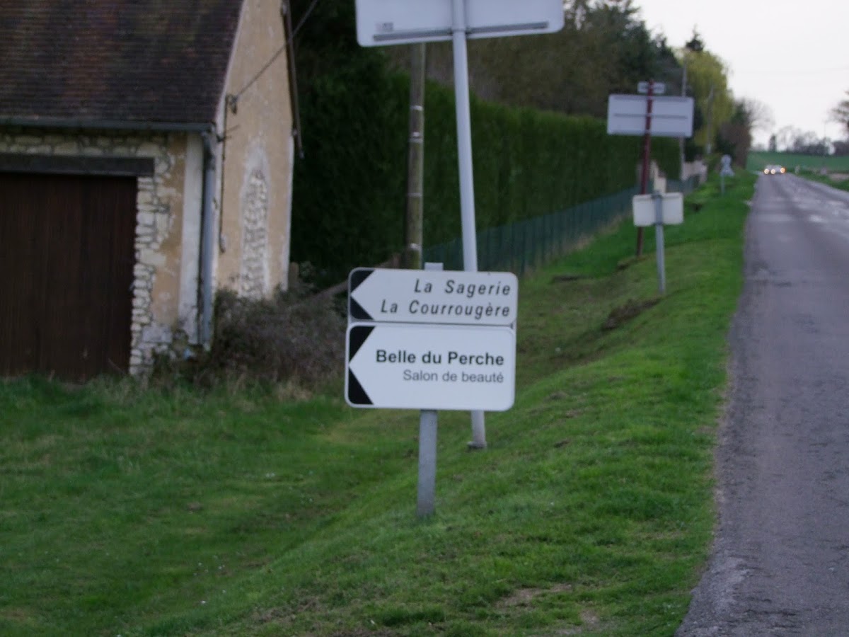 Belle du Perche