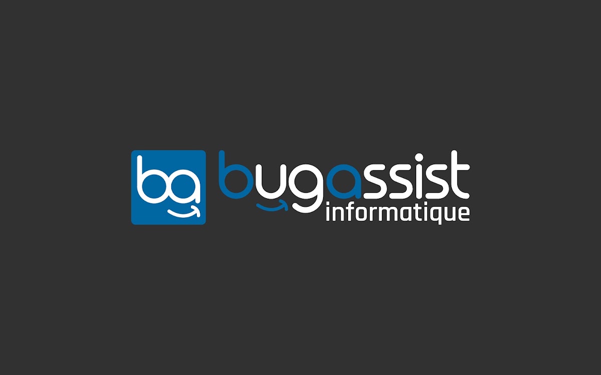 BUG ASSIST INFORMATIQUE