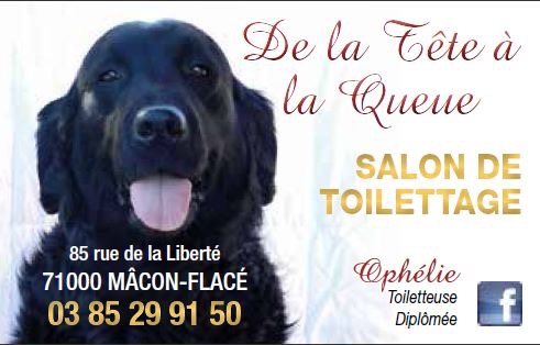 De la tête à la queue