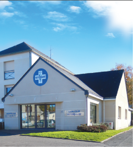 Vétérinaire Angers - Clinique Pasteur du Dr Ribeill