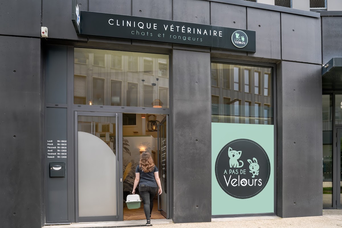 Clinique vétérinaire dédiée aux chats, lapins et rongeurs "A pas de velours"