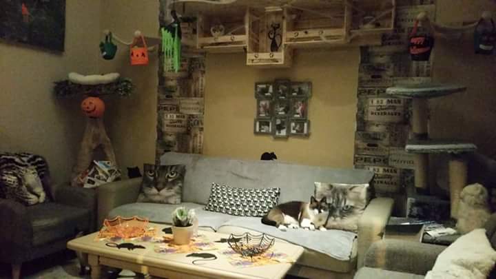 Chatperlipopette Café