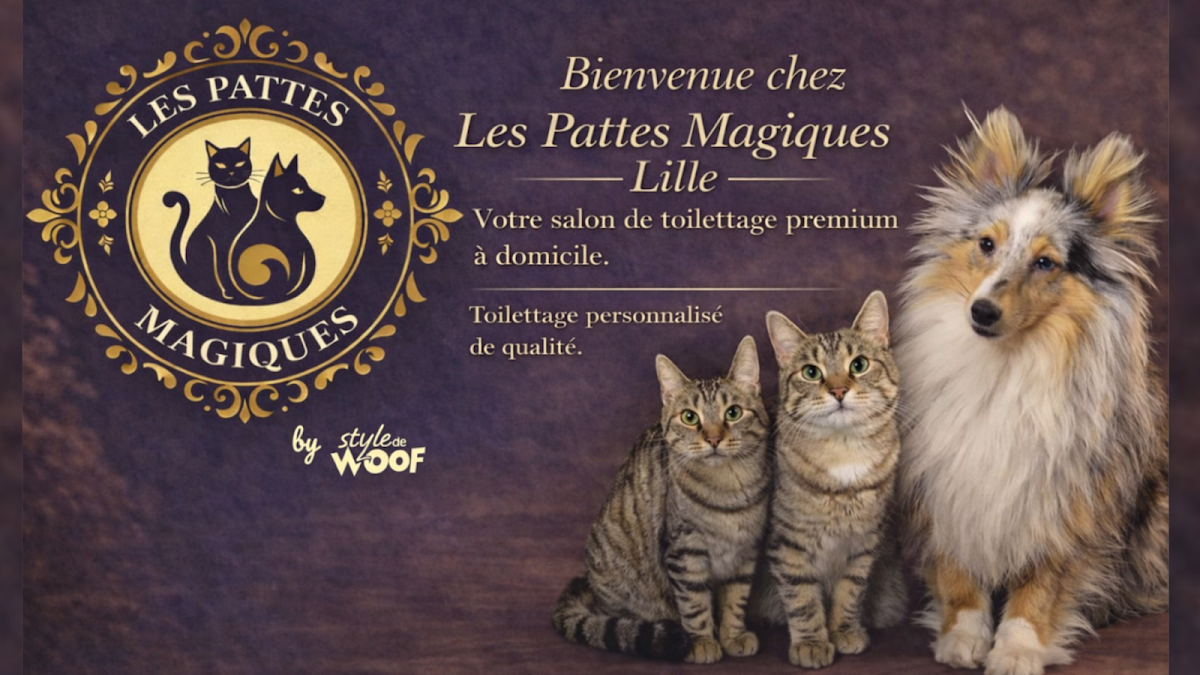 Les Pattes Magiques toilettage à domicile - Lille