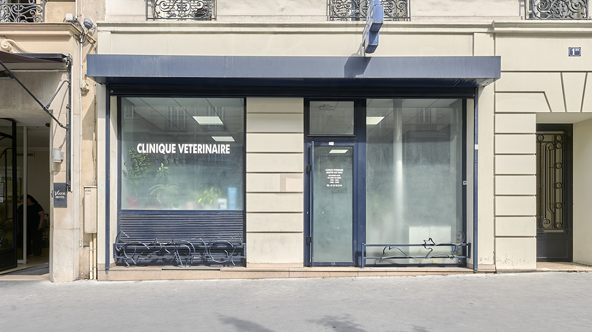 Clinique Vétérinaire du Chat