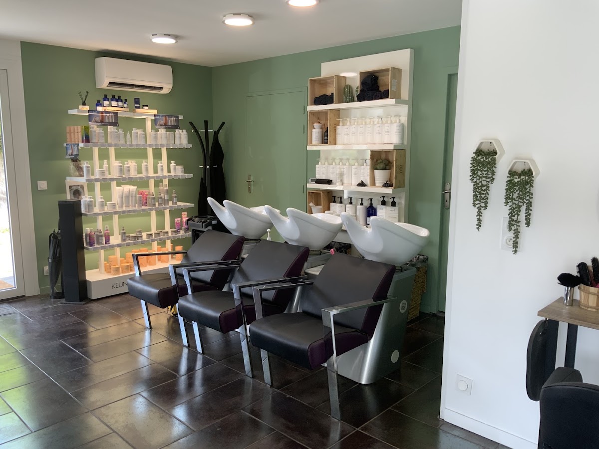 Arcapi coiffure