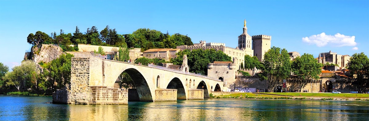 DOMUS IMMOBILIER