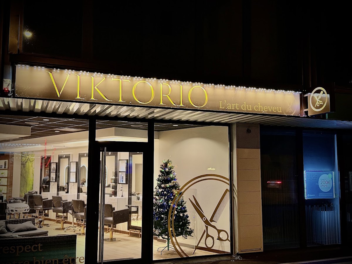 Viktorio L'art du Cheveu