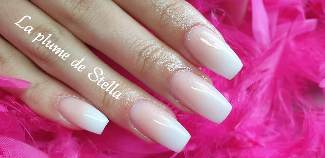 La Plume de Stella