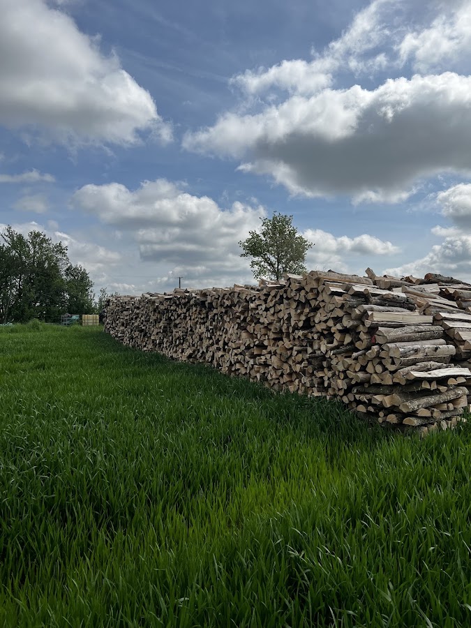 Ingé Bois 68