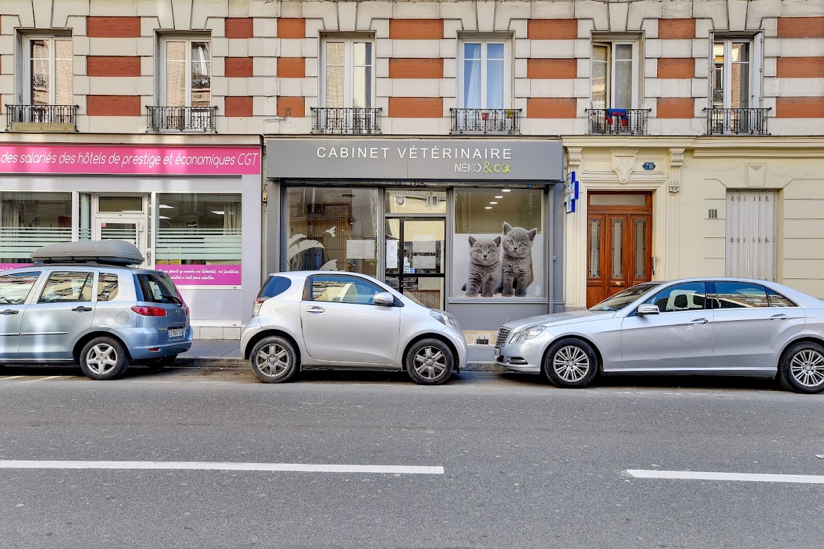 Neko&Co - Vétérinaire Clichy et Ouest de Paris