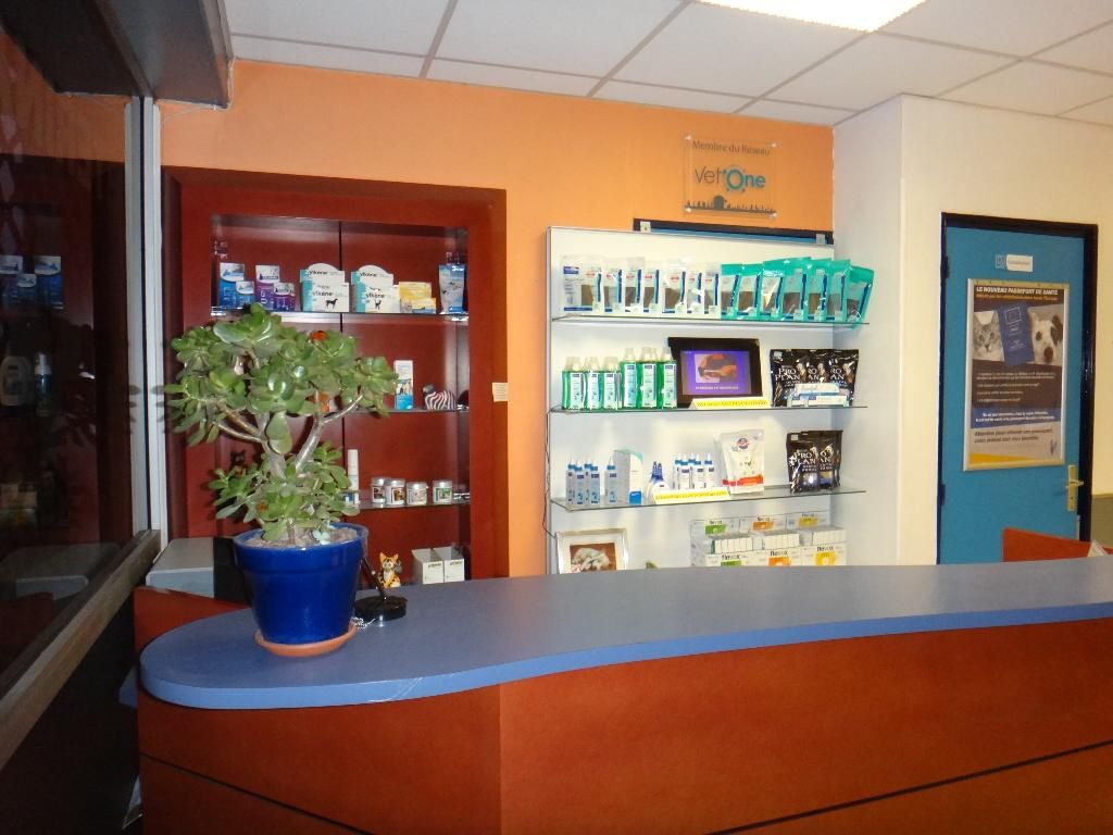 Clinique Vétérinaire Du Fort Saint Louis