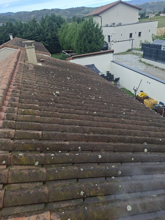 Zigler rénovation